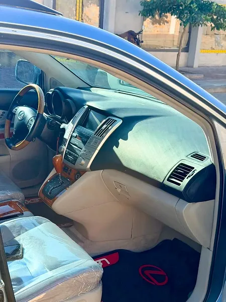 Lexus RX 330 2005  — photo 6