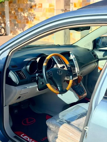 Lexus RX 330 2005  — photo 7