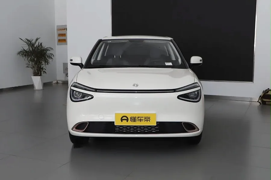 Dongfeng Yipai (eπ) Nano 01 2025 — photo 11